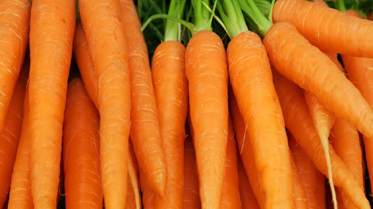 अपने चेहरे पर गाजर का ऐसे करें इस्तेमाल, कुछ ही दिनों में आएगा गजब का निखार  Skin Care Tips Know how to use carrot on your face in Winter benefits of  carrot -