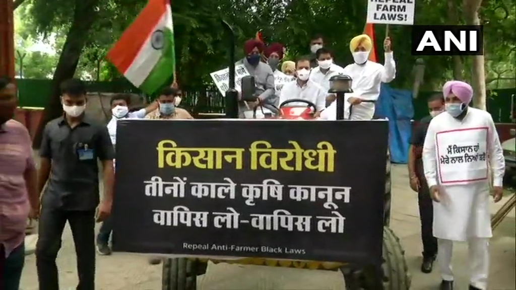 RAHUL GANDHI ON TRACTOR MARCH