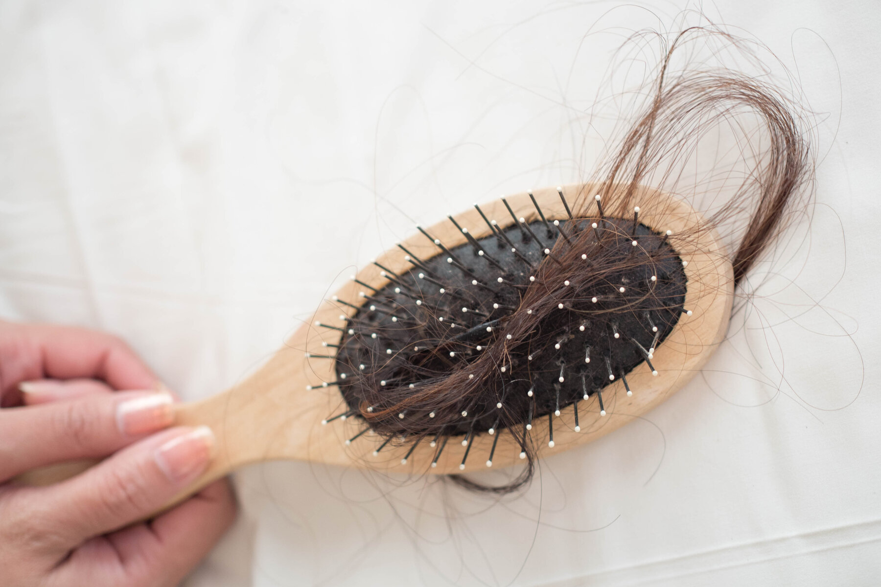 बाल झड़ने की समस्या डराने लगी है? जल्द शुरु करें ये काम, नहीं टूटेंगे बाल  Best natural and home remedies to prevent hair fall - News Nation