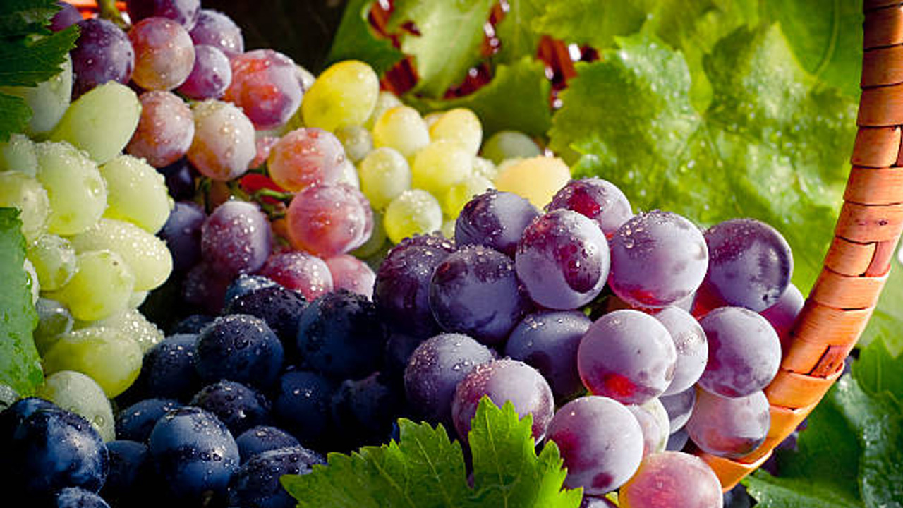 Grapes Photos, Download The BEST Free Grapes Stock Photos & HD Images