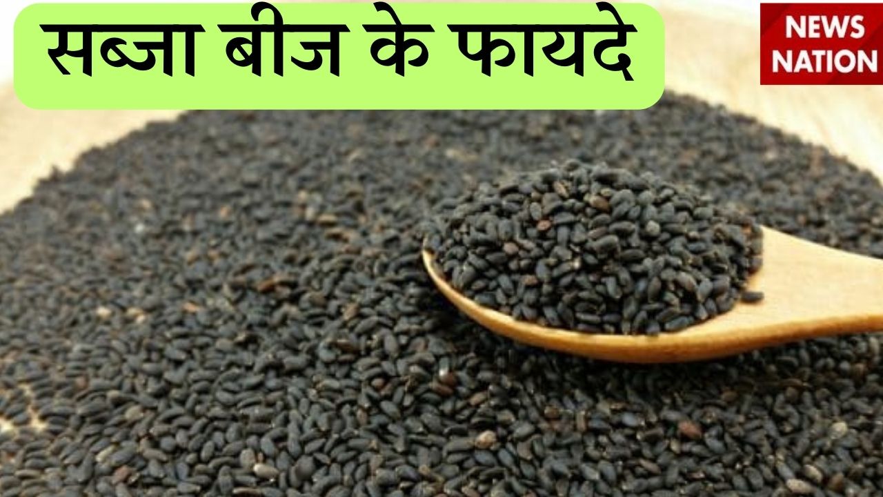 Basil Seeds Benefits