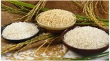 Basmati Rice Exports