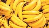 Eating 1 banana daily can do good for health