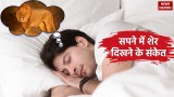 Lion In Dream During Navratri: नवरात्रि में सपने में दिखे शेर तो होते हैं ये 3 बड़े संकेत