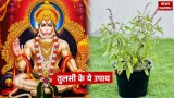 Hanuman Jayanti 2024: हनुमान जयंती के दिन करें तुलसी के ये उपाय, आर्थिक स्थिति होगी मजबूत 