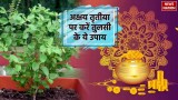 Akshaya Tritiya 2024: अक्षय तृतीया के दिन करें तुलसी के ये उपाय, आर्थिक तंगी होगी दूर!