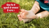 Samudra Shastra: सामुद्रिक शास्त्र के अनुसार, किस पैर में खुजली होने से भाग्य चमकता है?