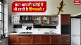 Chipkali Shubh-Ashubh: क्या आपकी रसोई में भी रहती है छिपकली, जानें ये अच्छा है बुरा 