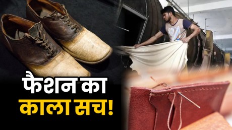 इंसानी खाल से बन रहे विलासिता के सामान: 22 लाख के जूते, पर्स की कीमत 11  लाख! | Human Skin Leather being sold, 22 lakh for shoes and 11 lakh for  purses... Read report - News Nation