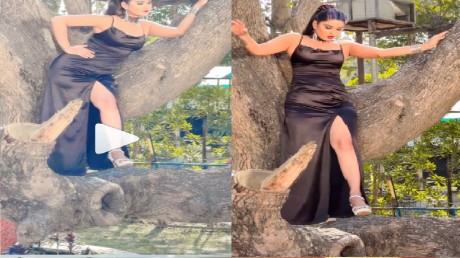 भोजपुरी एक्ट्रेस का ये अंदाज देख नहीं रुकेगी हंसी, Video देख पकड़ लेंगे पेट  | Bhojpuri actress akanksha dubey poses on tree latest photoshoot fashion  users funny comments - News Nation