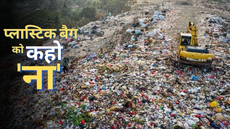कागज के बैग भी प्लास्टिक जितने ही नुकसानदेह क्यों? - Know Why Fabrics Bag  Are Equally Harmful As Plastic Bags - Amar Ujala Hindi News Live