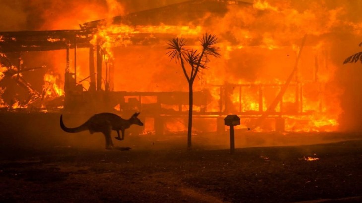 ऑस्ट्रेलिया में लगी आग की भयावह तस्वीरें