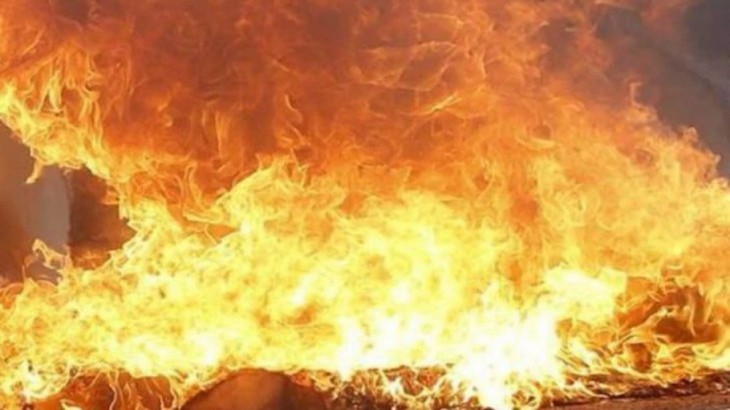 पीरागढ़ी में लगी भीषण आग