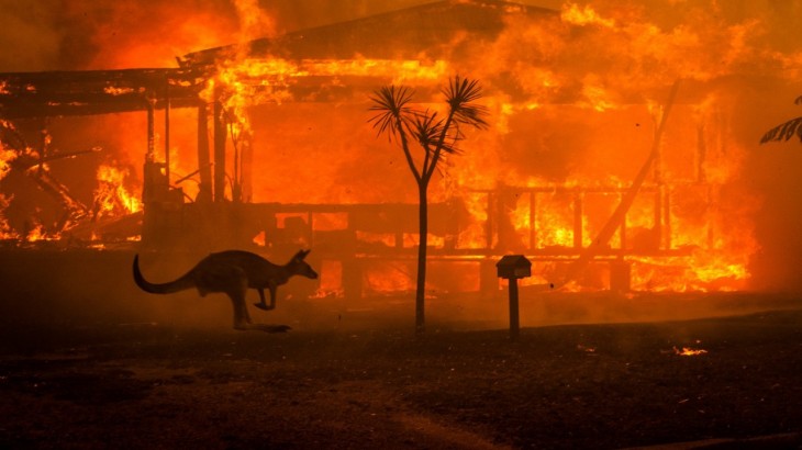 ऑस्ट्रेलिया के जंगलों में लगी भीषण आग