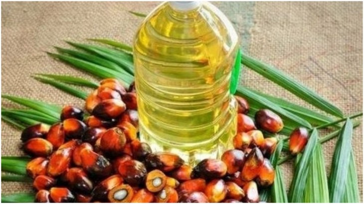 पाम तेल (Palm Oil)