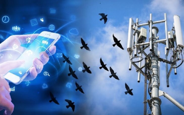 कश्मीर में फिर मोबाइल इंटरनेट सेवाएं बहाल