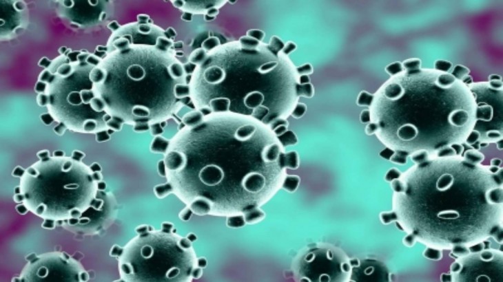 Coronavirus चीन में कोरोना वायरस से मरने वालों की संख्या 1,770 के पार