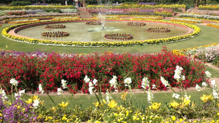 Mughal Gardens 2020