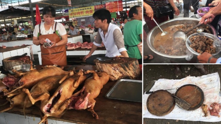 China Bat Dog Meat
