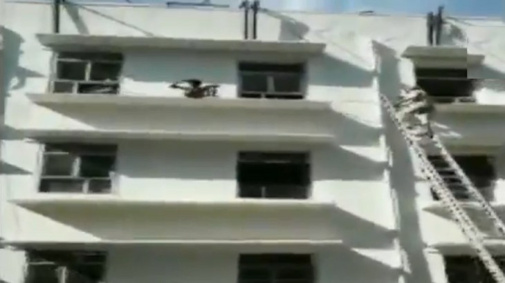 man commiting suicide save