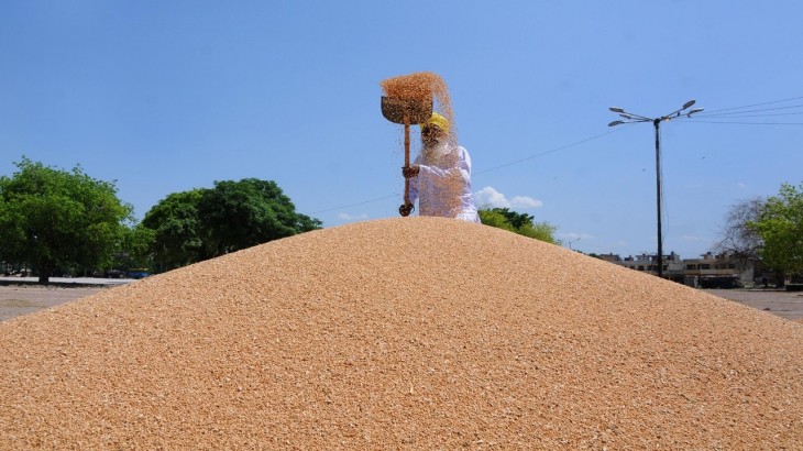 UP: किसानों को राहत, अनाज भंडारण के लिए बनाए जाएंगे 5 हजार गोदाम