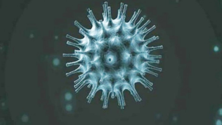 Coronavirus  COVID 19