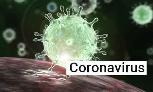 123461 coronavirus 1