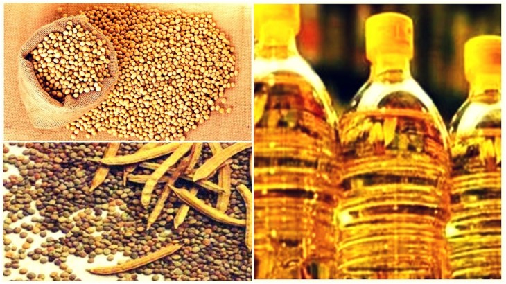 Guarseed Soybean Soya Oil