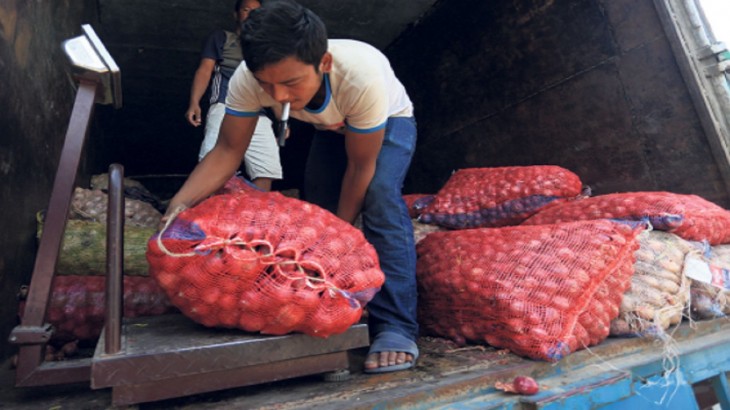 Onion Nepal