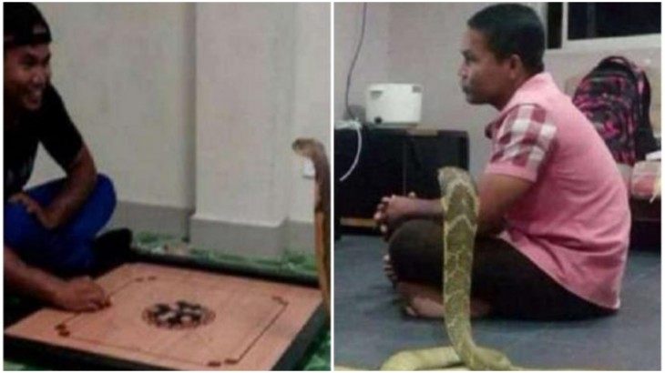 Man Marriage Cobra Snake