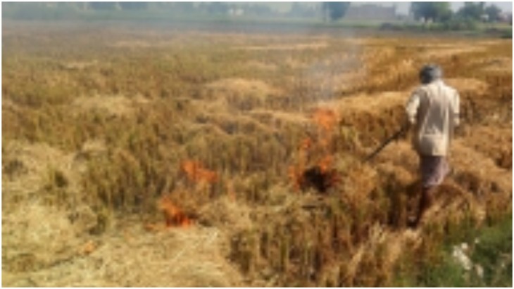 farmers for burning stubble in Uttar Pradesh