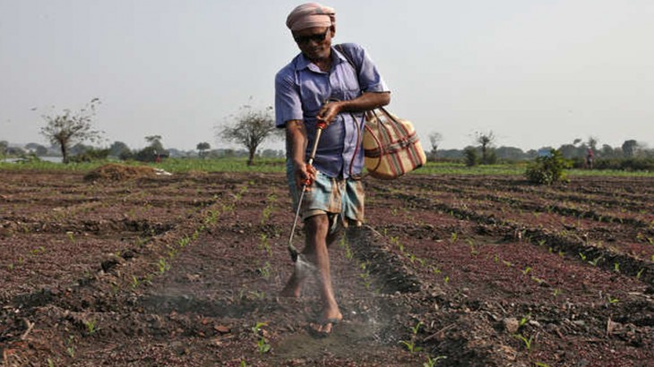 Rabi Crop Sowing Report