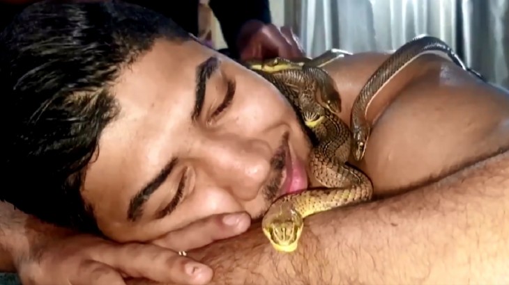 snake massage