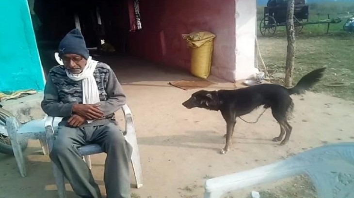 farmer gave his property in the name of a dog in Chhindwara