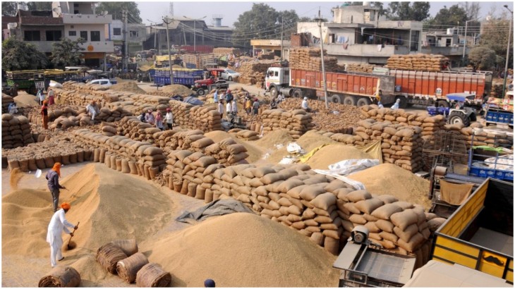 Basmati Rice Export Latest News-Wholesale Grain Market
