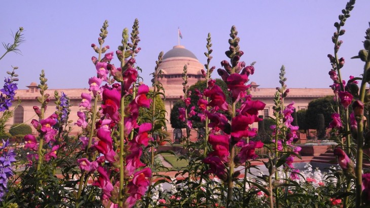 Mughal Garden 2021: 13 फरवरी से खुलेगा मुगल गार्डन, ये होंगे नियम