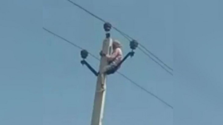 Old Man Climbs Electric Pole