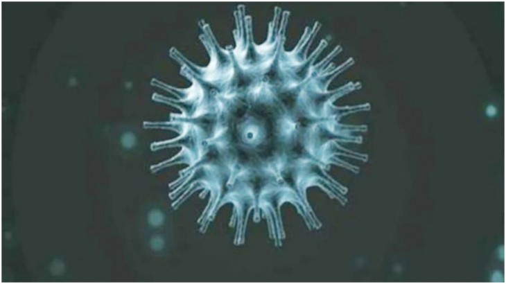Coronavirus (Covid-19)