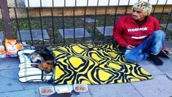 कुत्तों के सुख के लिए दुख काट रहा ये बेघर शख्स, वायरल हुई तस्वीर