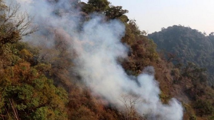 एमपी के राष्ट्रीय उद्यानों में लगी आग