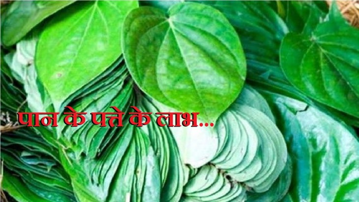 Will not eating betel leaf cause corona virus infection