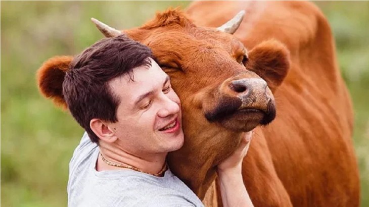 Cow Hug