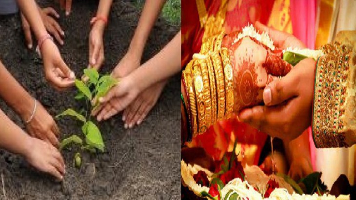 mandatory for newly married couple to plant trees in Kaushambi