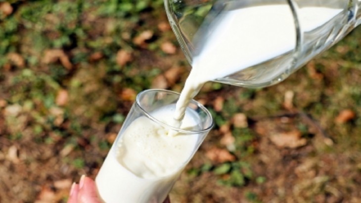 Free milk distribution started in Karnataka