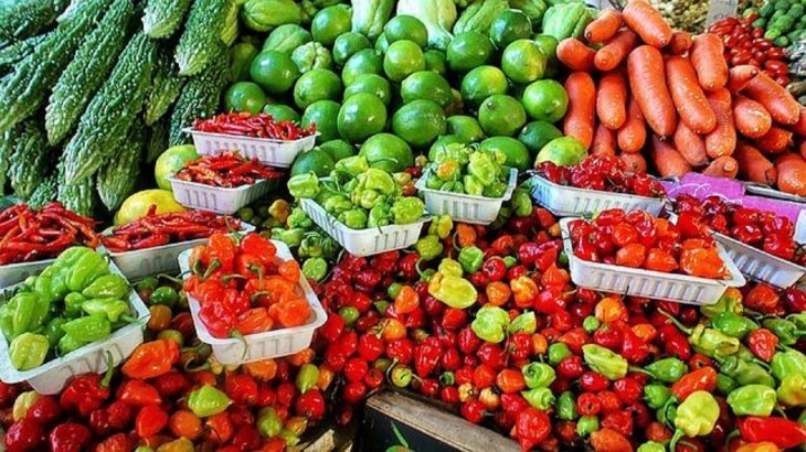 vegetable-fruit export hub