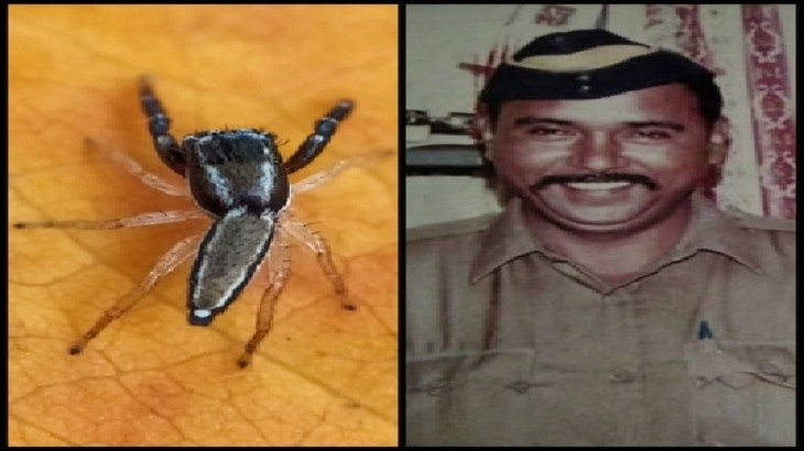 New species of spider named after the martyr who captured Kasab