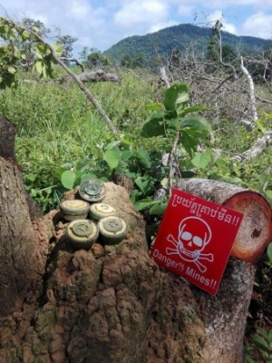 Cambodia landmine