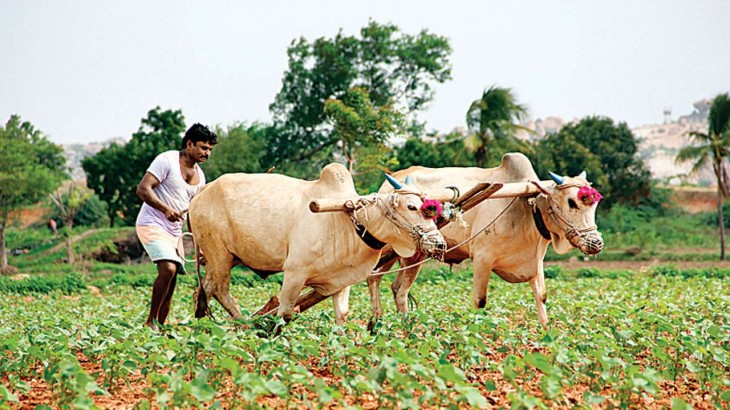 किसान सारथी (Kisan Sarathi)