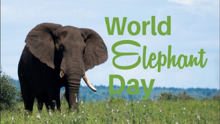 World Elephant Day Importance and History