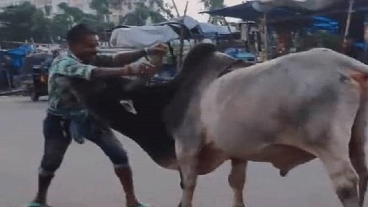 man slapped the bull